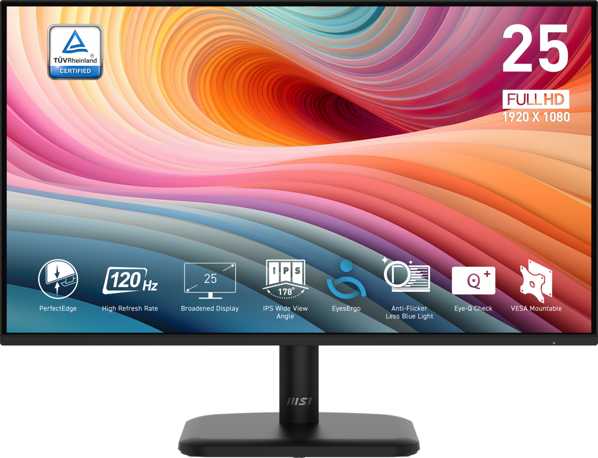 MSI PRO MP251LDE E2