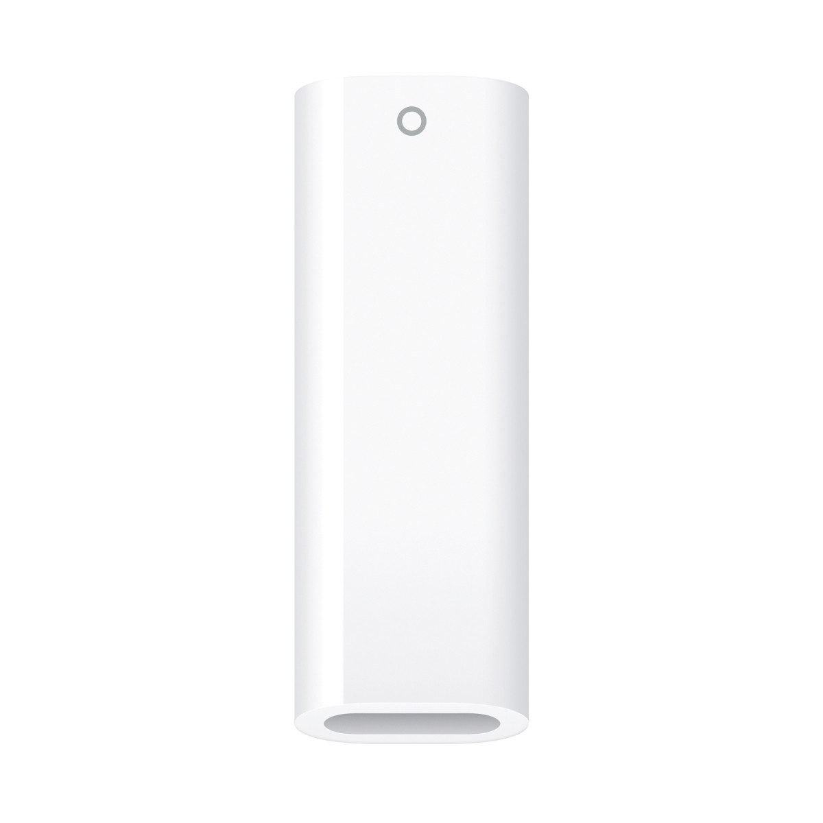 Apple USB-C auf Apple Pencil Adapter MWML3ZM/A