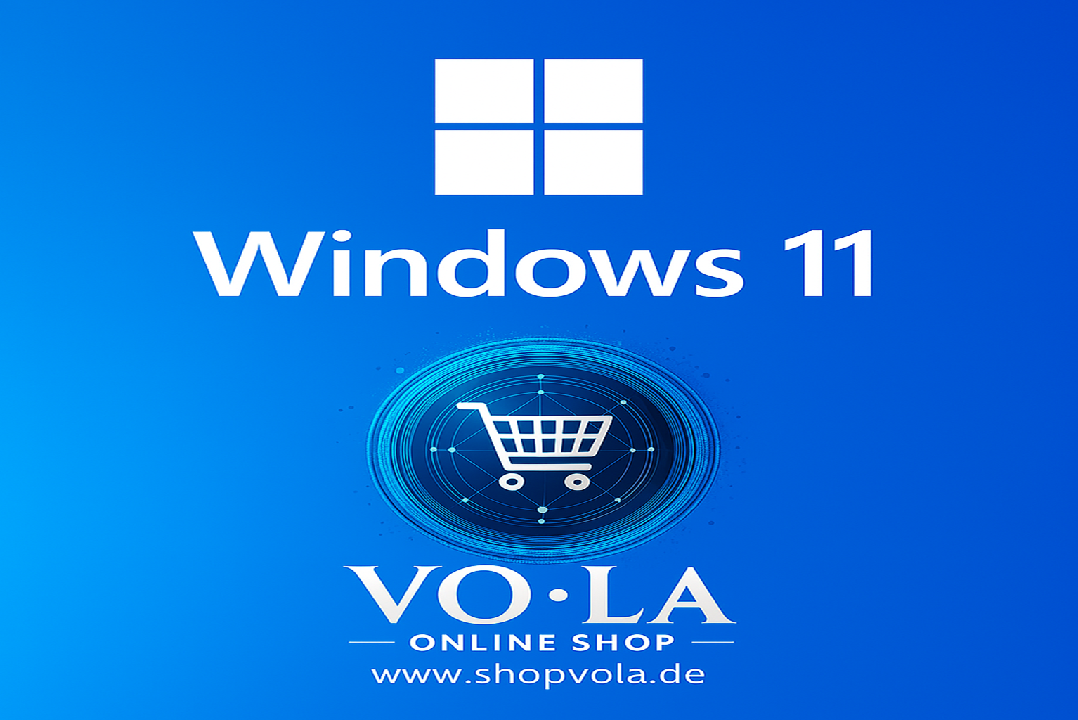 Microsoft Windows 11 Professional - 1Key