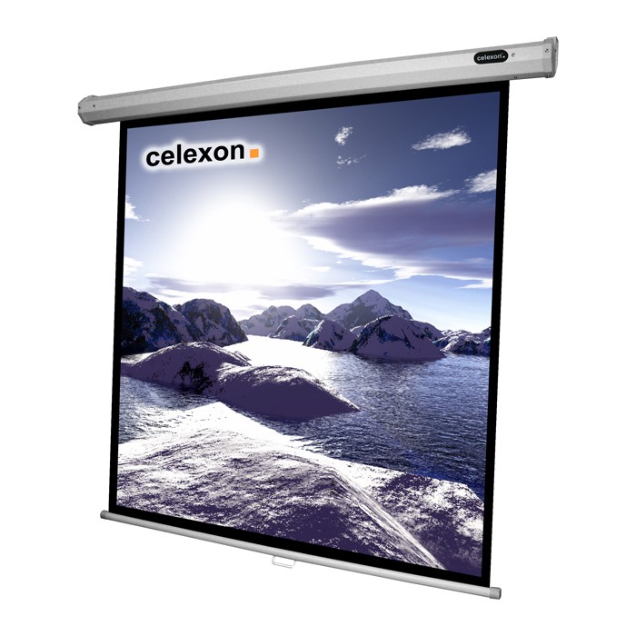 Celexon Rollo Economy Leinwand Format 1:1, 200 x 200 cm