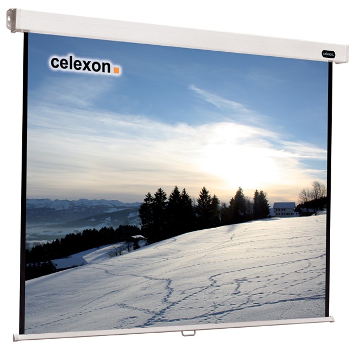 Celexon Professional 1:1 Manual Screen 220x220